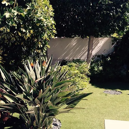 Parque Del Conde, Ocean View ヴィラ *