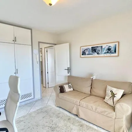 Parque Del Conde, Ocean View أذيخي